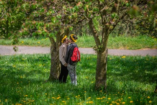 "Coronavirus, niente sesso nella fase 2: solo baci sulle labbra"