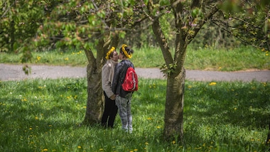 "Coronavirus, niente sesso nella fase 2: solo baci sulle labbra"