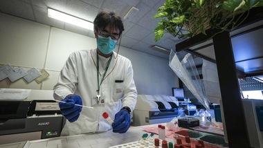 Coronavirus in Italia: contagi in aumento e decessi in calo