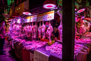 Dagli Usa: "Il Coronavirus non proviene da un animale del mercato di Wuhan"