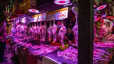 Dagli Usa: "Il Coronavirus non proviene da un animale del mercato di Wuhan"