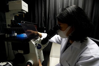 "Cina, 3 vaccini per il Coronavirus sono entrati negli studi clinici di Fase 2"