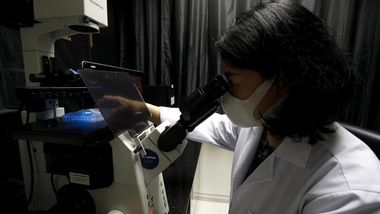 "Cina, 3 vaccini per il Coronavirus sono entrati negli studi clinici di Fase 2"