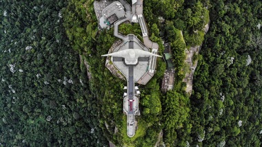 Coronavirus, allarme dal Brasile: "La prossima pandemia partirà dalla foresta amazzonica"