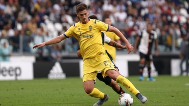 Verona, D'Amico: "Mercato? Sarà gioco al ribasso. Kumbulla potrebbe restare"