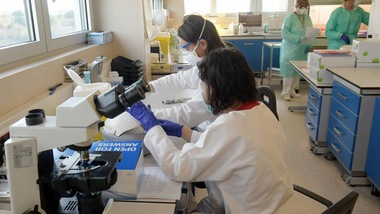 Coronavirus, a Trapani pandemia finita: presto anche a Crotone