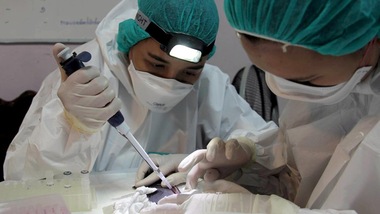 Oms: “Il virus dei ‘pipistrelli’ potrebbe provocare più morti del Coronavirus”