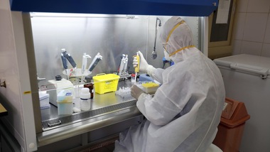 "Il Coronavirus provoca la perdita dell'olfatto: può essere l'unico sintomo"