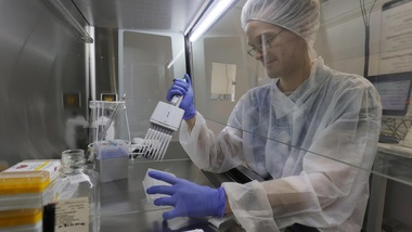 Coronavirus, scoperta nuova mutazione che lo rende più contagioso