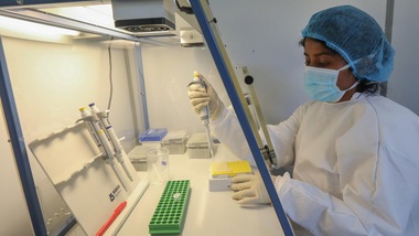 Coronavirus in Italia: 249 nuovi contagi e 14 decessi