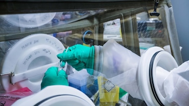 Coronavirus in Italia, contagi in calo: +219 in 24 ore