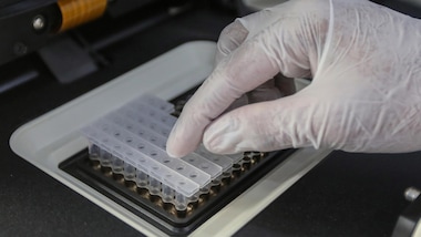 Dalla Gran Bretagna: "Coronavirus, ecco il farmaco della svolta"