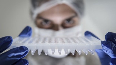 Coronavirus in Italia, lieve calo dei contagi: 255 nuovi casi