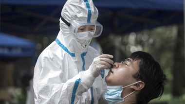 Coronavirus, dalla Cina il vaccino ARCoV: test ok sugli animali