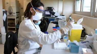 Coronavirus, contagi in calo: 239 in un giorno, 8 morti