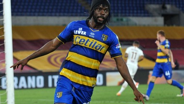 Benevento, Foggia: "Gervinho? Per ora solo una chiacchierata..."