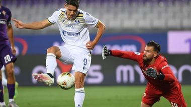 Stepinski: "Il Verona lavora per farsi trovare pronto"