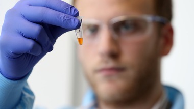 Coronavirus in Italia, restano stabili i contagi: 1501 nuovi casi