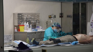 Coronavirus: 1.350 positivi e 17 morti in Italia nelle ultime 24 ore