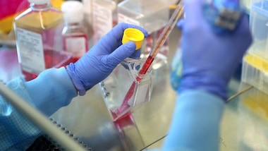 Times: "Vaccino contro il Coronavirus arriverà entro Pasqua"