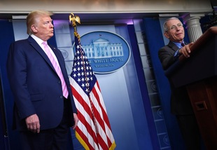 Usa nel caos, oltre 80mila contagi da Coronavirus in un giorno: è record