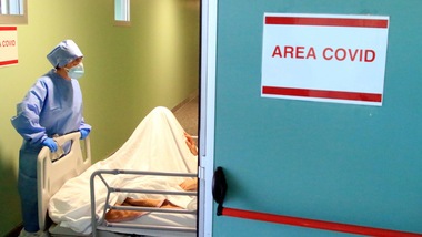 Coronavirus, in Italia 24.491 nuovi casi e 205 morti nelle ultime 24 ore