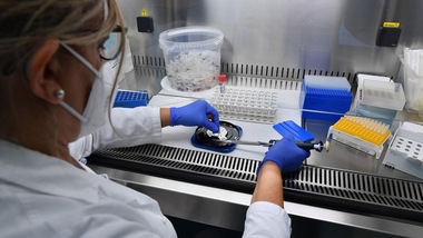 Vaccino Coronavirus, l'annuncio che fa ben sperare: "Sarà disponibile da marzo"