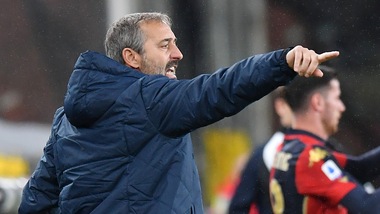 Giampaolo: "Torino in crescita: col Crotone per la continuità"