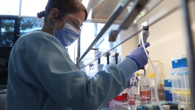 Coronavirus in Italia, sono 37.255 i nuovi casi: 544 i decessi