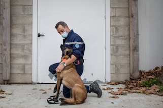 "I cani sono in grado di capire chi ha contratto il Coronavirus"
