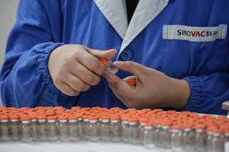 Covid, quasi pronto il vaccino cinese "CoronaVac": "Crea subito anticorpi"