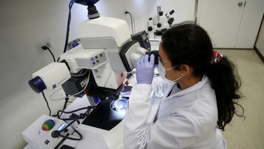 Coronavirus, e dopo? I cinque superbatteri che minacciano il mondo