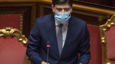 Coronavirus, Speranza: "Vaccino sarà gratuito per tutti. Prime dosi da gennaio"