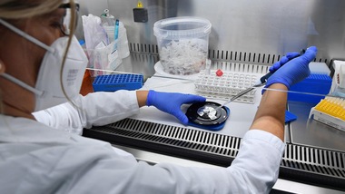 Coronavirus in Italia: 16.999 nuovi casi, tornano a salire i decessi