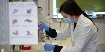 Coronavirus, i dati di oggi: 201 morti, 4.452 contagi