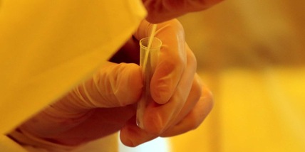 Coronavirus, nuova variante scoperta in Italia