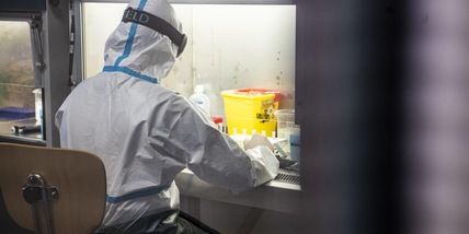 Covid: trovata in Sardegna la rara variante A.27