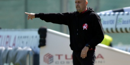 Diretta Reggina-Vicenza dalle 15: probabili formazioni e dove vederla in tv