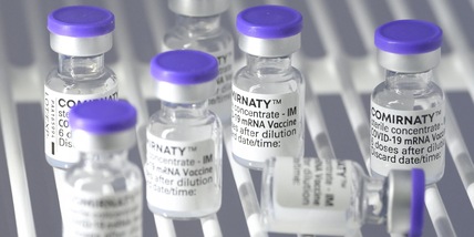 Vaccini in Italia, 500mila dosi somministrate: record in 3 Regioni