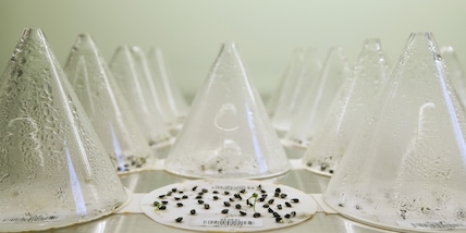 "Dopo 142 anni riparte l'esperimento più antico della storia!"