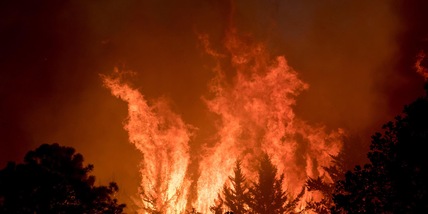 Celtic, notte choc per Lawwell: incendio in casa. Tutti illesi