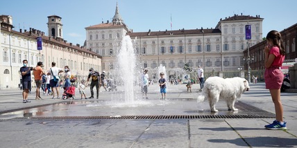 Le 5 migliori razze di cani per una famiglia con bambini