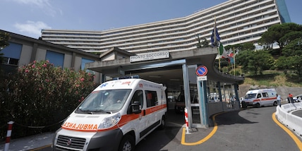 Astrazeneca, morte Camilla: espiantati gli organi