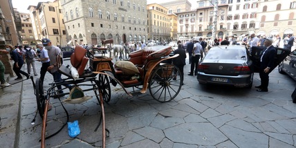 Firenze, cavallo imbizzarrito semina il panico e finisce sull'auto della Lamorgese