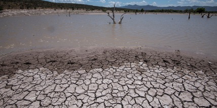 L'Onu: "Dopo il Covid un'altra minaccia e non esiste vaccino"