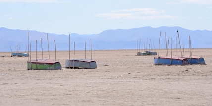 Il Canada e il caldo record: "719 morti in una settimana"