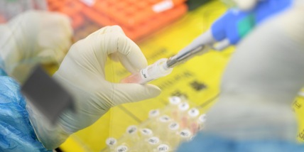 Coronavirus, il bollettino di oggi: 3.190 nuovi casi