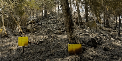 Grecia, vigili del fuoco: "Situazione incendi è sotto controllo"