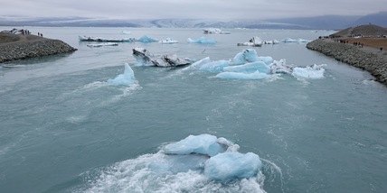 Ritrovata la "Pompei giurassica": il cimitero degli echinodermi