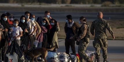 Afghanistan, gli animalisti contro Biden: "Tanti cani soldato abbandonati, saranno uccisi"